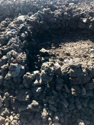An ancient Hawaiian lava dwelling